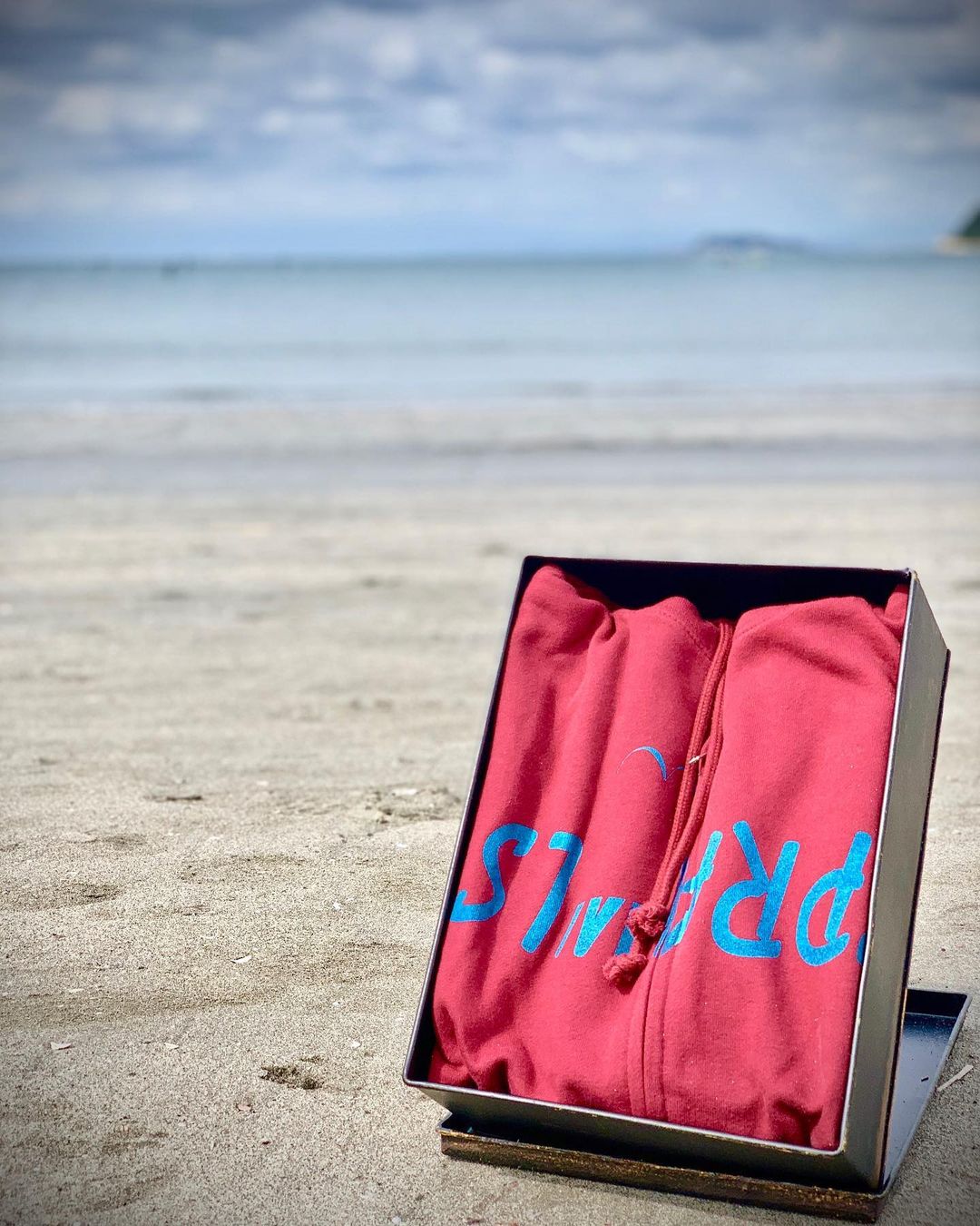 SEAGULL ZIP hoodie 10oz SFL-372