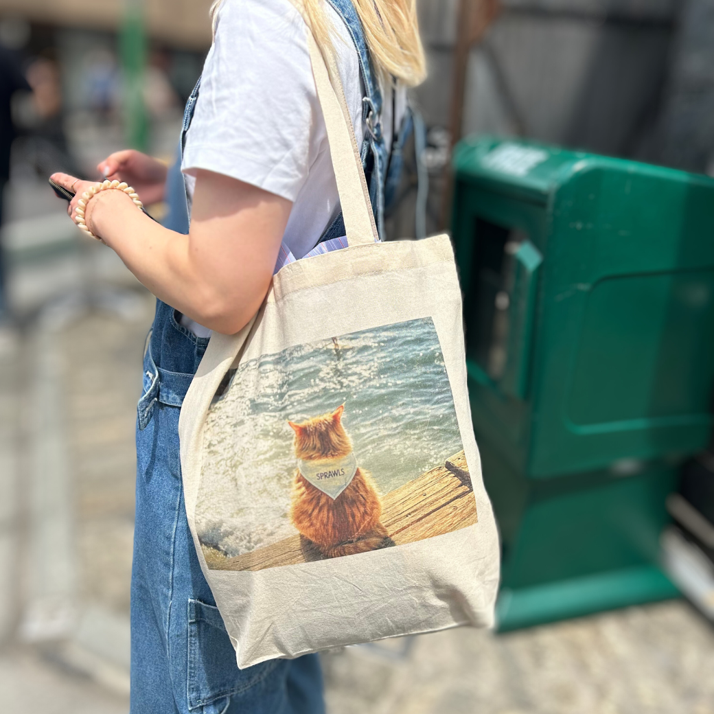 Photo ecobag cat STL-012