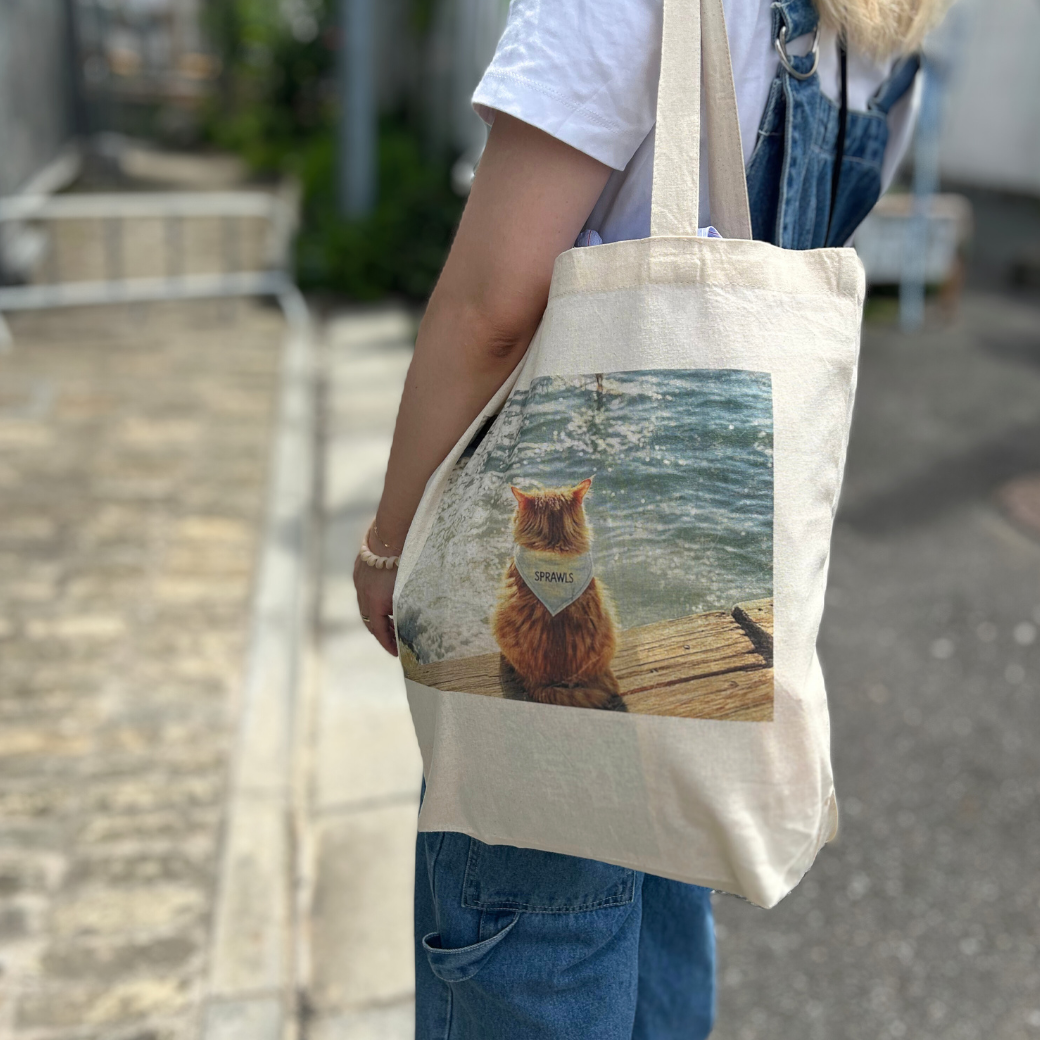 Photo ecobag cat STL-012