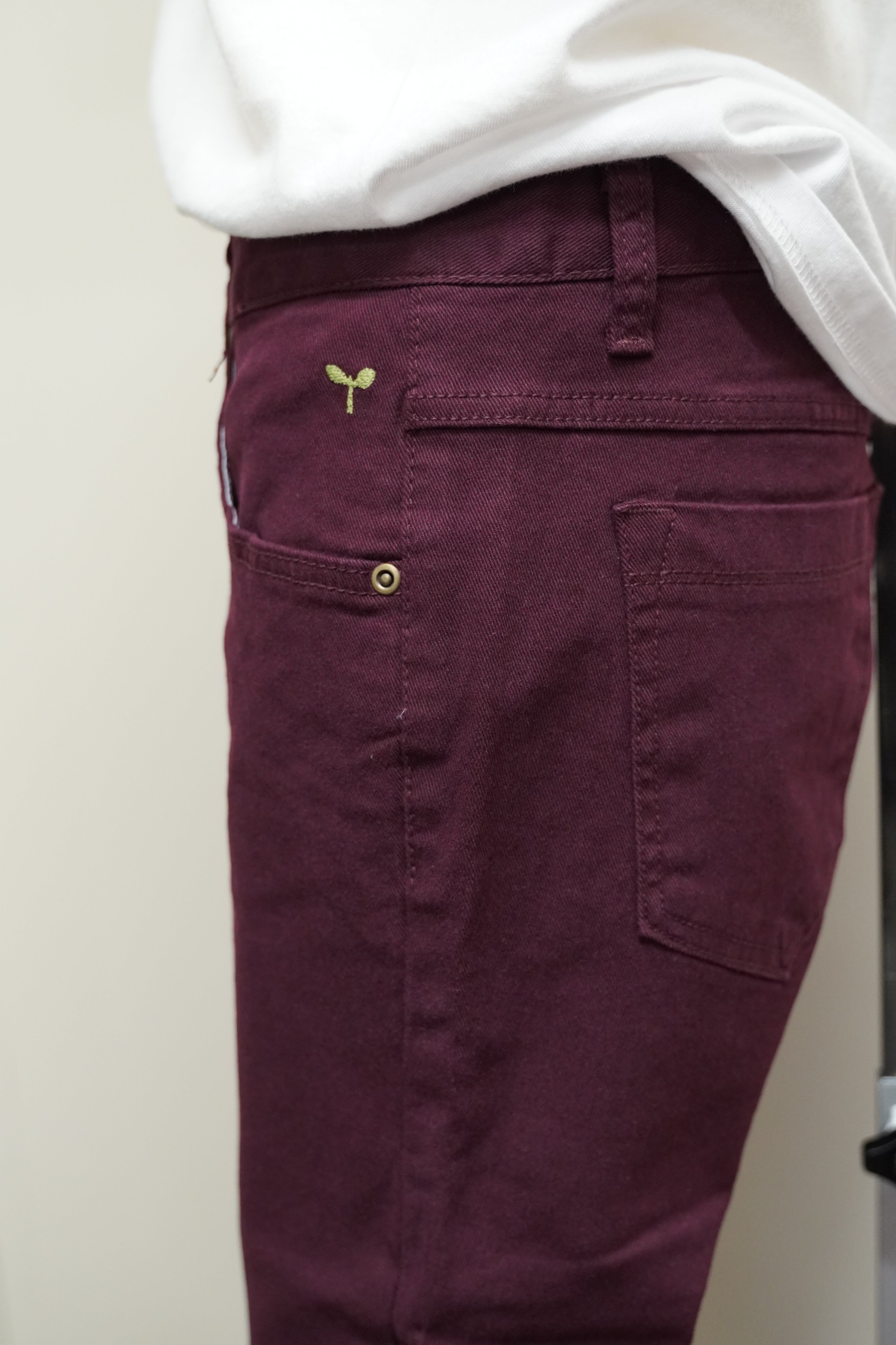 Pants SGS-011(a)